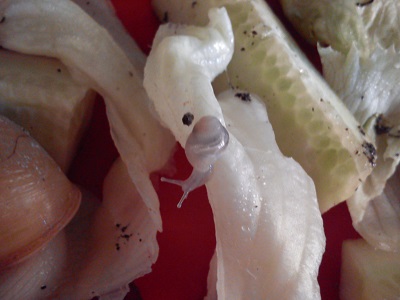 Handy 15.9.2013 096.jpg