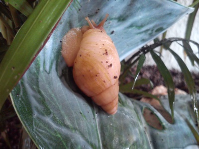 Handy 15.9.2013 009.jpg