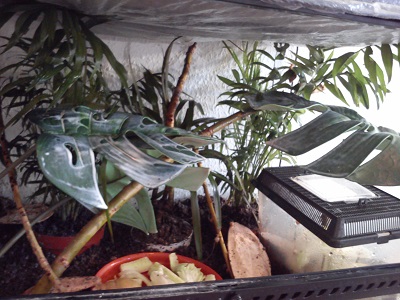 Handy 15.9.2013 087.jpg