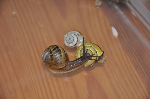 DSC_0398.JPG