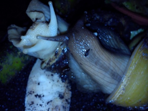 Handy 15.9.2013 022.jpg