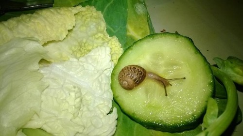 neue1.jpg