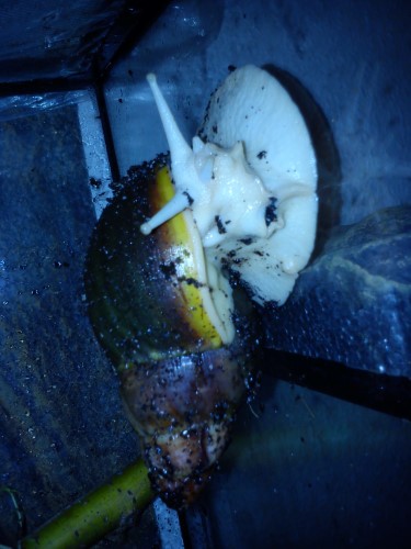 Handy 24.11.2013 342.jpg