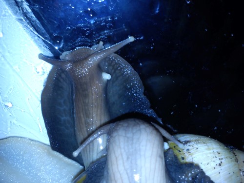 Handy 05.12.13 014.jpg
