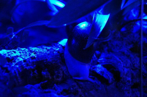 rps20131212_162916_910.jpg