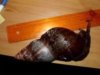 DSCI0012 Kopie_bearbeitet-2.jpg