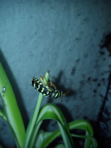 Handy 20.01.2014 034.jpg