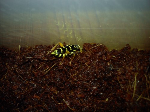 Handy 20.01.2014 038.jpg