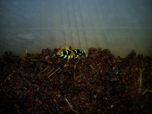 Handy 20.01.2014 040.jpg