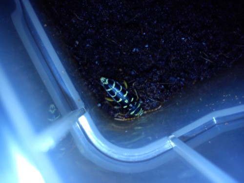 Handy 20.01.2014 050.jpg