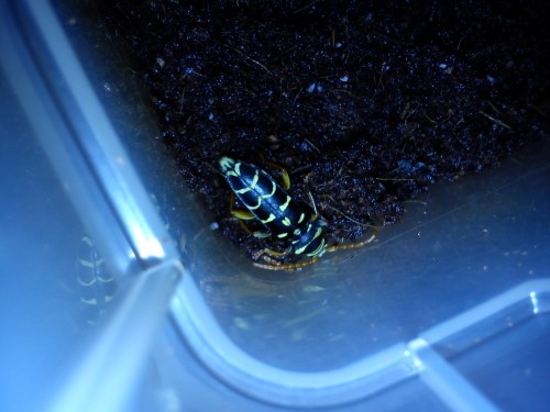 Handy 20.01.2014 051.jpg