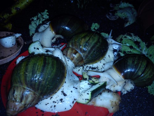 Handy 24.11.2013 183.jpg