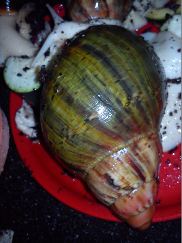 Handy 24.11.2013 181.jpg