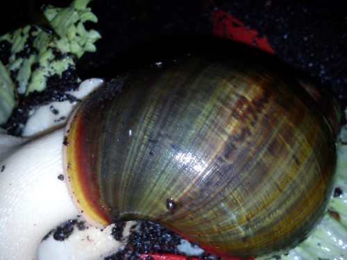 Handy 24.11.2013 179.jpg