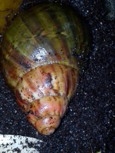 Handy 24.11.2013 168.jpg