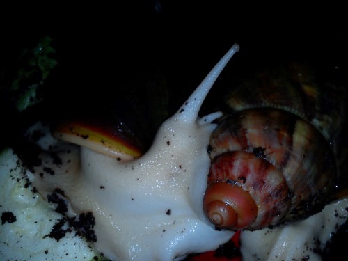 Handy 24.11.2013 190.jpg