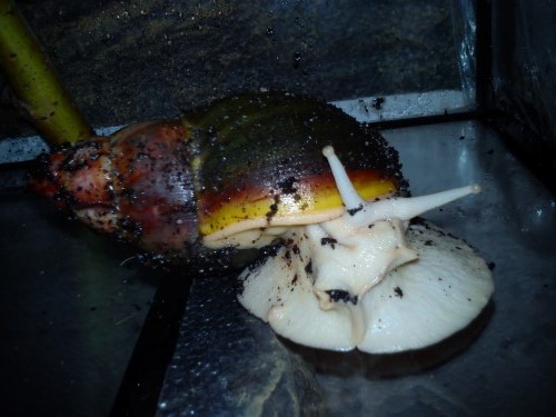 Handy 24.11.2013 337.jpg