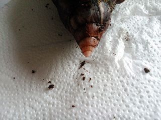 k-20140226_143239_Android.jpg