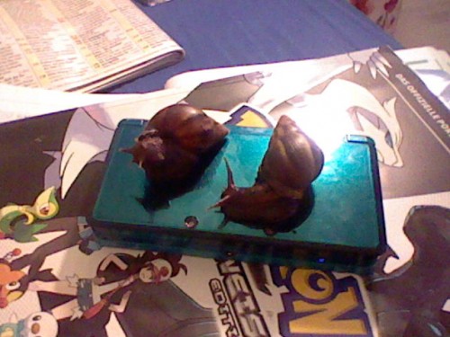 HNI_0065_MPO.JPG