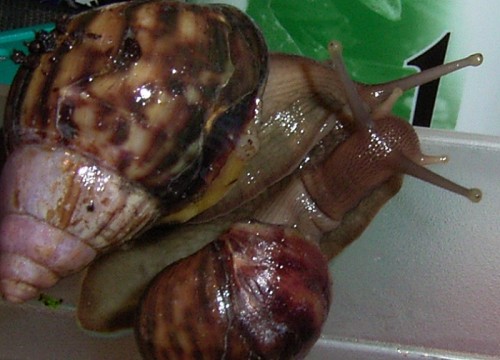 IMAG0024.jpg