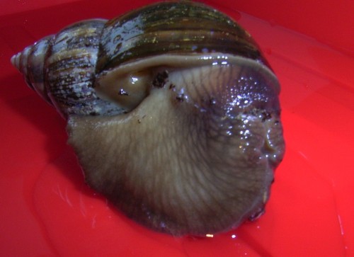 IMAG0055.jpg