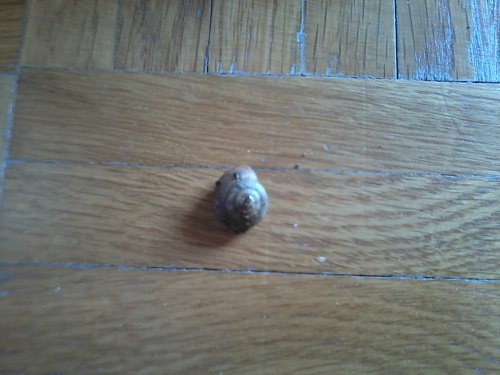 2014-03-07 10.58.48.jpg