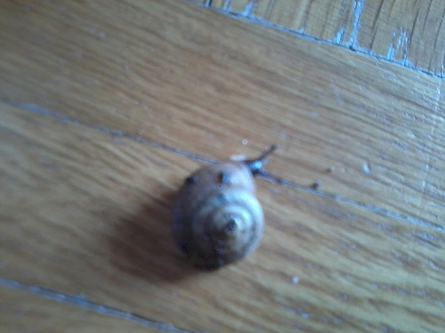 2014-03-07 11.00.01.jpg