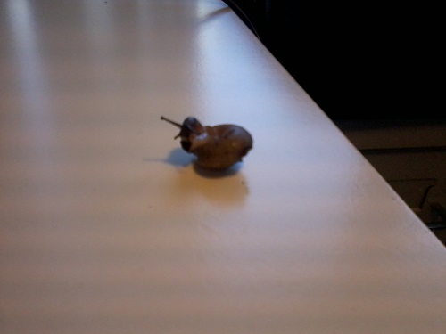 2014-03-07 11.04.27.jpg