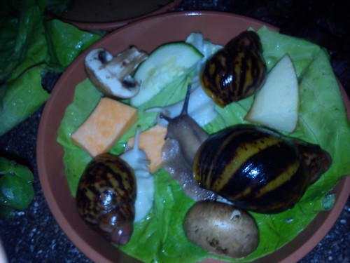 Handy 09.03.2014 737.jpg