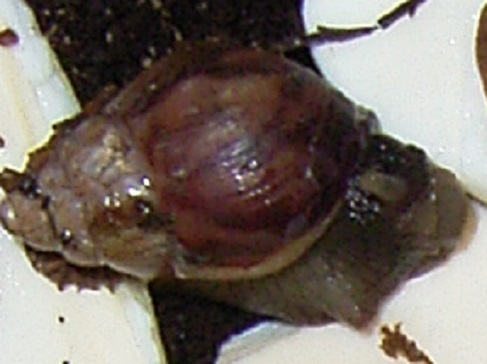 IMAG0029a.jpg