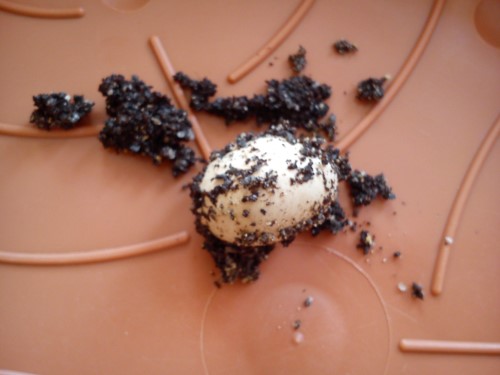 02.04.2014 Handy 061.jpg