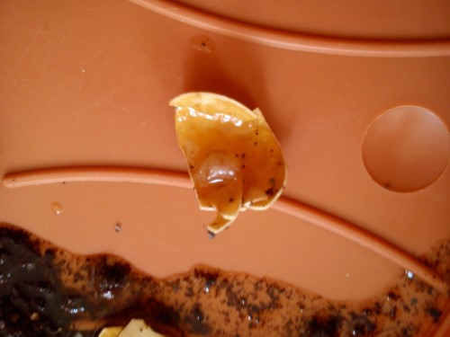 02.04.2014 Handy 064.jpg