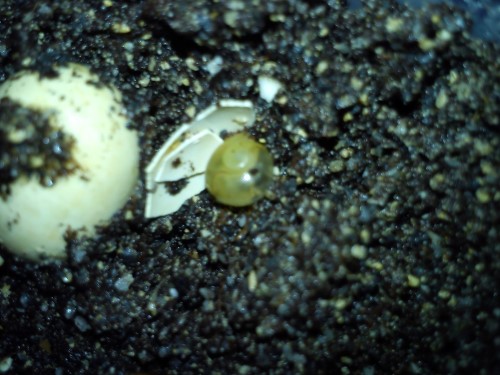 02.04.2014 Handy 094.jpg