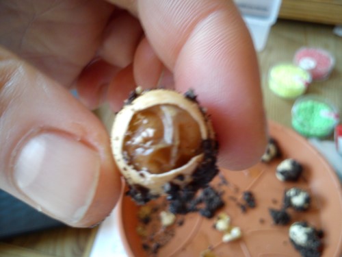 02.04.2014 Handy 071.jpg