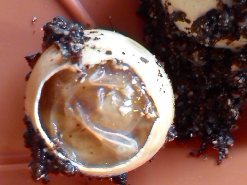 02.04.2014 Handy 079.jpg