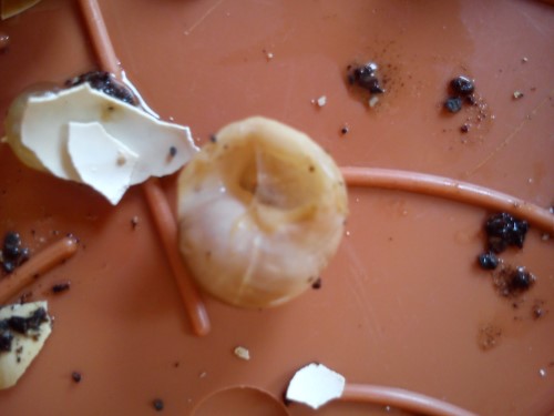 02.04.2014 Handy 087.jpg