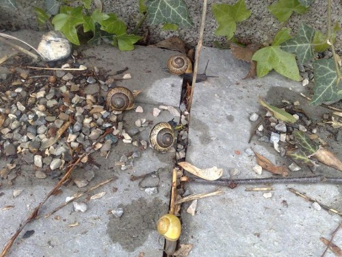 060420143049 - Kopie.jpg