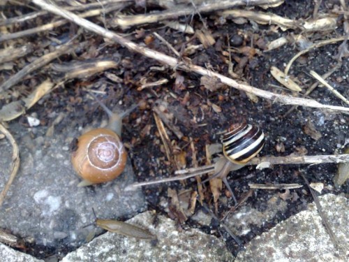 060420143046 - Kopie.jpg