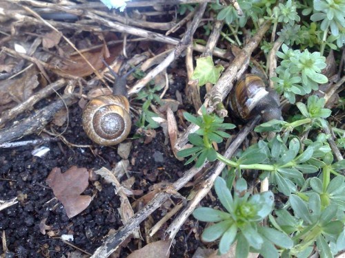 060420143047 - Kopie.jpg