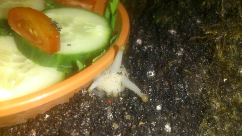 DSC_0030 (Mobile).jpg