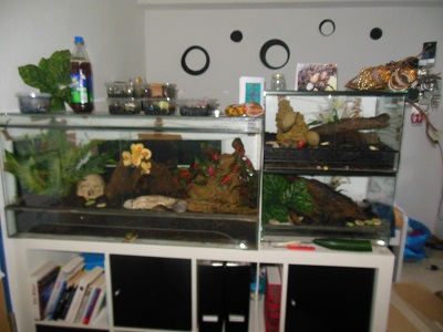 DSCN3779.JPG