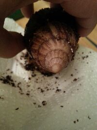 IMG_2014080319805.jpg klein.jpg