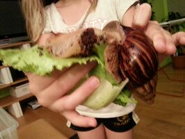 IMG_2014080354980.jpg klein.jpg