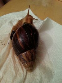 IMG_2014080337498.jpg klein.jpg