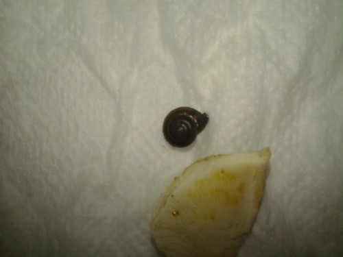 2014-08-27 19.02.25.jpg