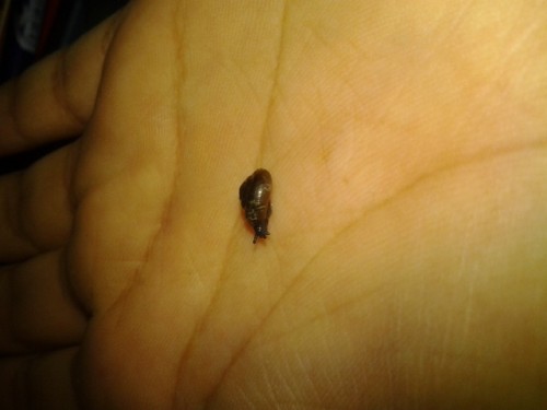 2014-08-27 19.03.29.jpg