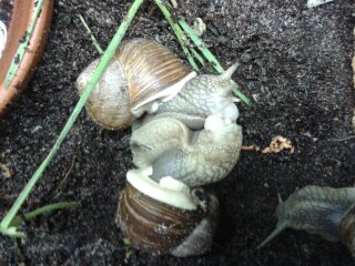 diverse_21062014 110.jpg