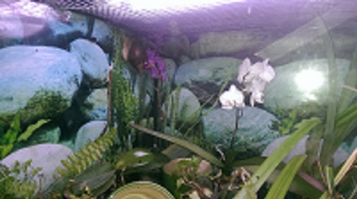 IMAG0959.jpg