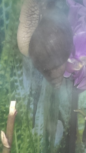 IMAG0962.jpg