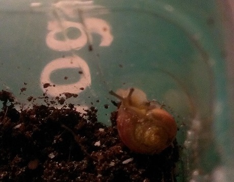 IMAG0399 - Kopie.jpg